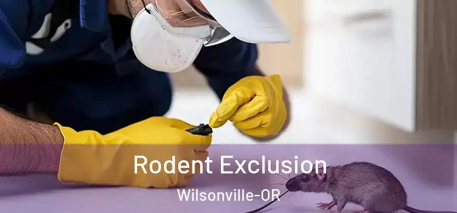 Rodent Exclusion Wilsonville-OR