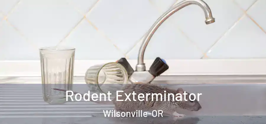  Rodent Exterminator Wilsonville-OR