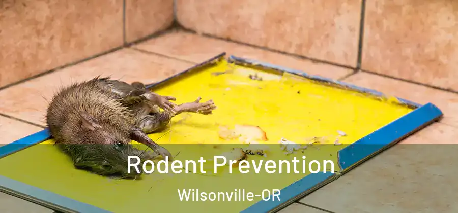 Rodent Prevention Wilsonville-OR