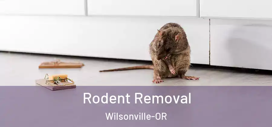 Rodent Removal Wilsonville-OR