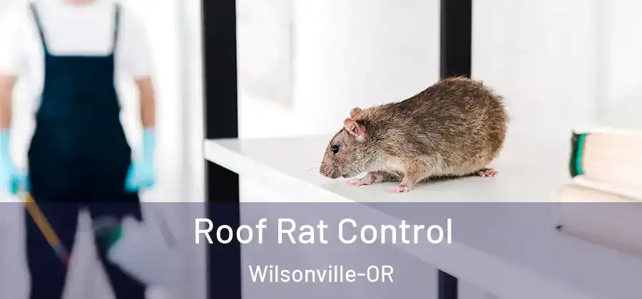 Roof Rat Control Wilsonville-OR