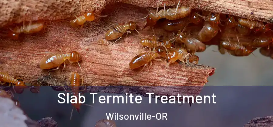 Slab Termite Treatment Wilsonville-OR