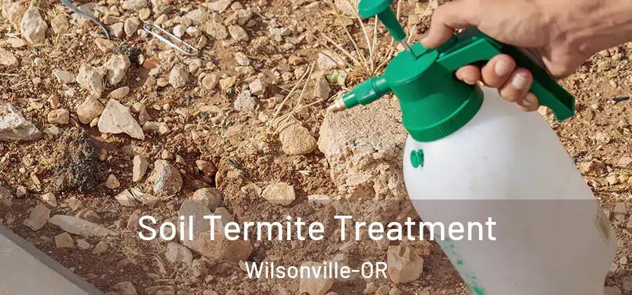 Soil Termite Treatment Wilsonville-OR