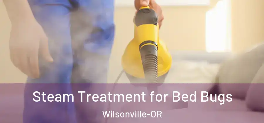 Steam Treatment for Bed Bugs Wilsonville-OR