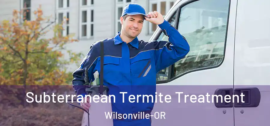Subterranean Termite Treatment Wilsonville-OR