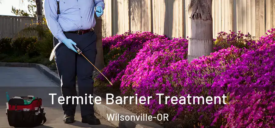 Termite Barrier Treatment Wilsonville-OR