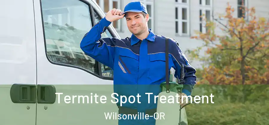 Termite Spot Treatment Wilsonville-OR
