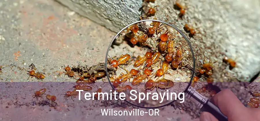 Termite Spraying Wilsonville-OR