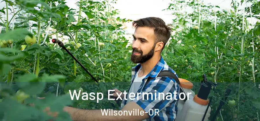 Wasp Exterminator Wilsonville-OR