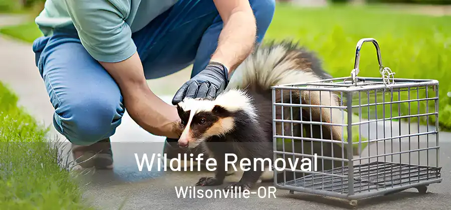Wildlife Removal Wilsonville-OR