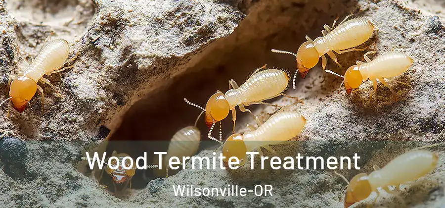 Wood Termite Treatment Wilsonville-OR