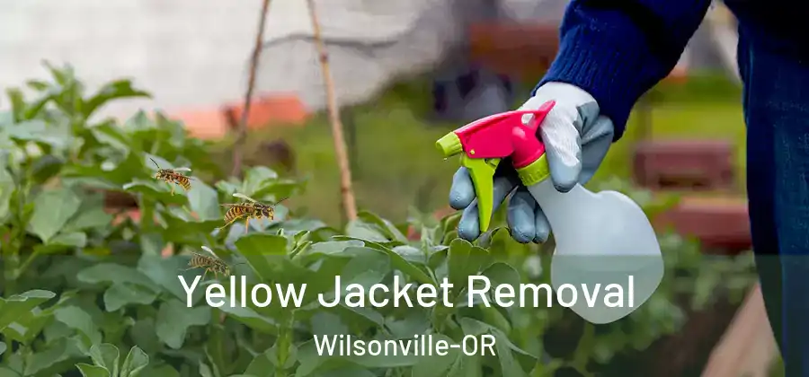 Yellow Jacket Removal Wilsonville-OR